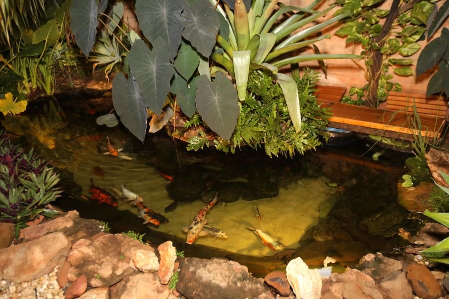 CONFRATERNIZAÇÃO 2025 DA CLÍNICA CALDEIRA ODONTOLOGIA - Eloisa Mattos