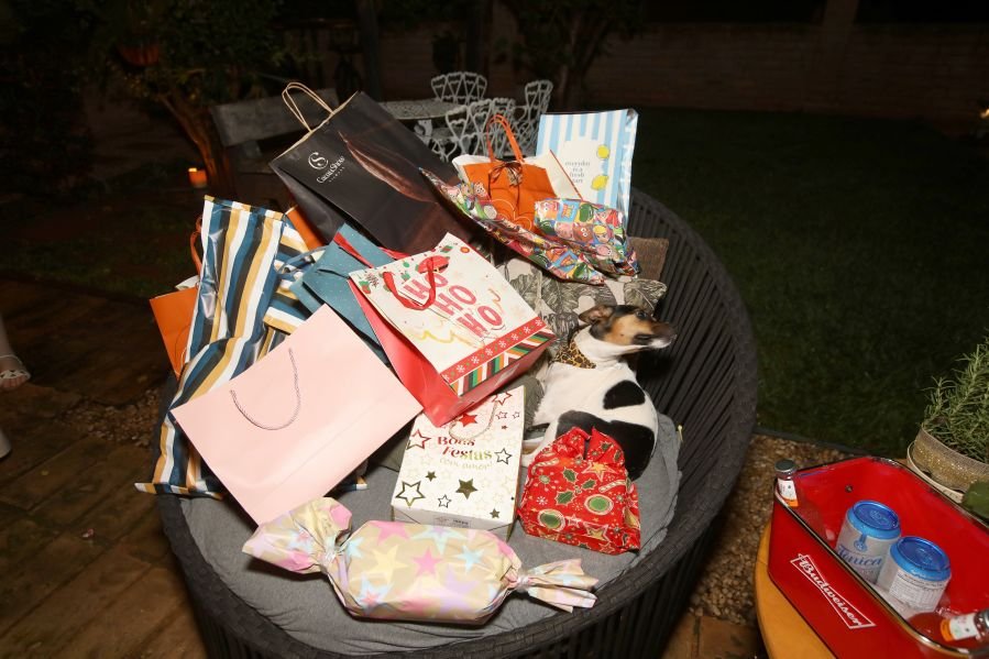 CONFRATERNIZAÇÃO 2025 DA CLÍNICA CALDEIRA ODONTOLOGIA - Eloisa Mattos