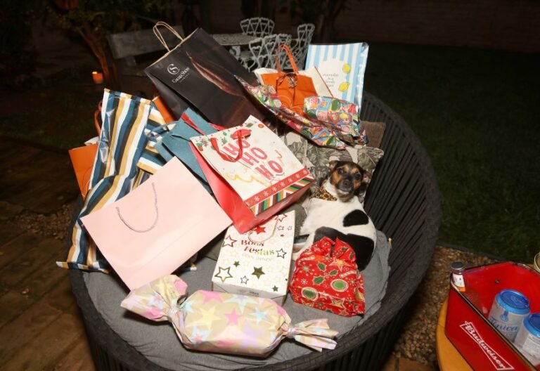 resized_ELO_6395