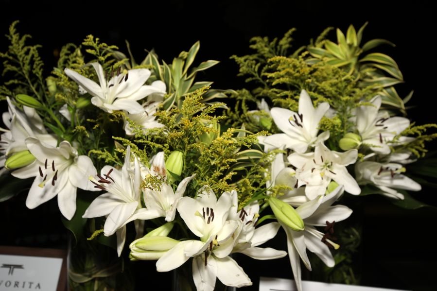 BRINDES AO ANO NOVO – BY JOSÉ AMÉRICO “CASA MACENO/BURITAMA” - Eloisa Mattos