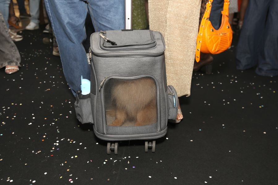 BLOQUINHO DO SEU MOÇO LEVARÁ CARNAVAL GRATUITO, SOLIDARIEDADE E SEGURANÇA À REPRESA MUNICIPAL DE RIO PRETO - Eloisa Mattos