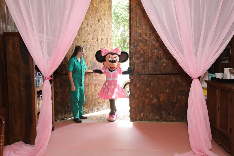 ANIVERSÁRIO DE 3 ANOS DE CECÍLIA ZAFANI ARID – “MINNIE” - Eloisa Mattos