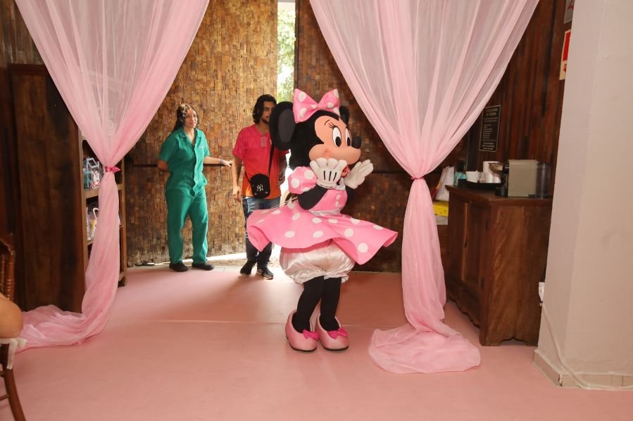 ANIVERSÁRIO DE 3 ANOS DE CECÍLIA ZAFANI ARID – “MINNIE” - Eloisa Mattos