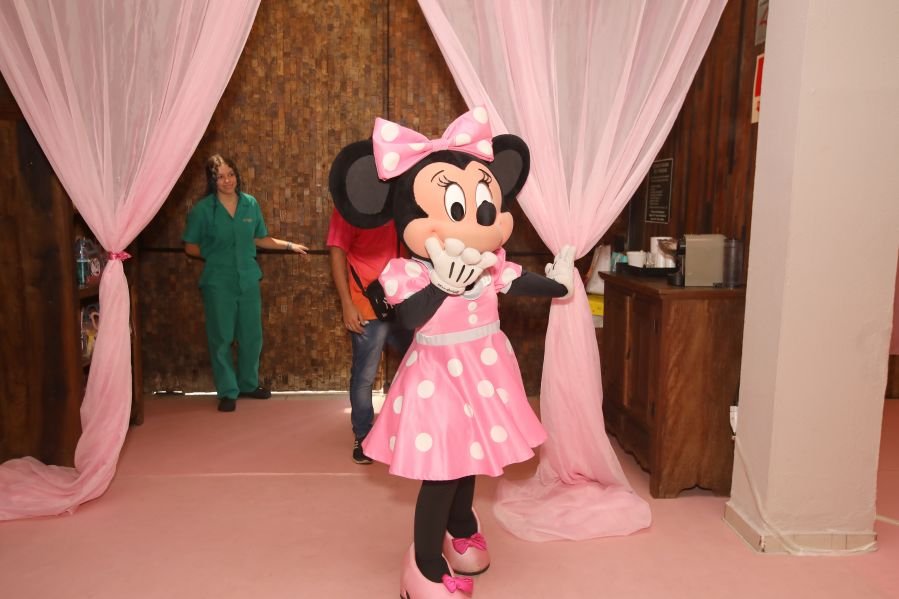 ANIVERSÁRIO DE 3 ANOS DE CECÍLIA ZAFANI ARID – “MINNIE” - Eloisa Mattos