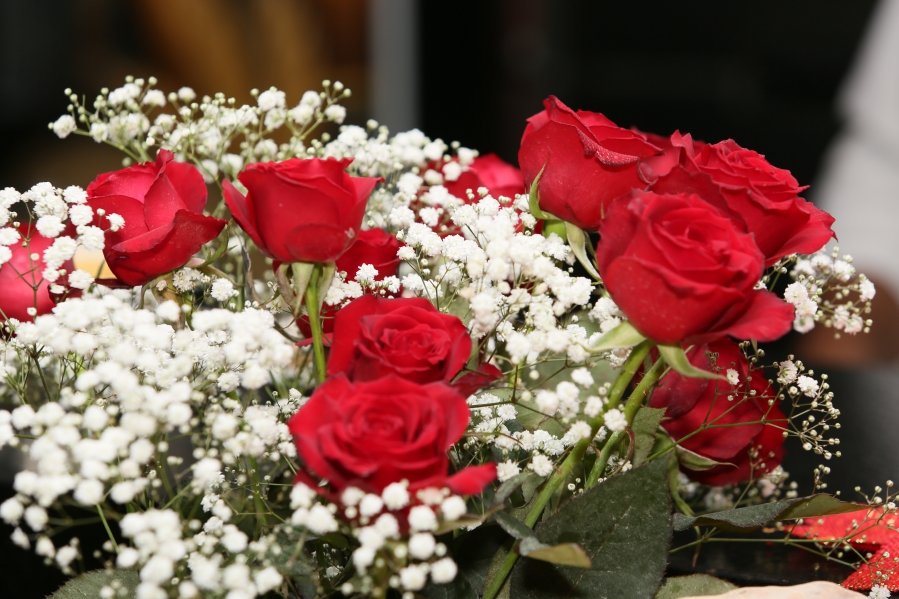 ENCONTRO DO CONSÓRCIO “RED VELVET- NOITE CIGANA” BY ROSÂNGELA E EDNA. - Eloisa Mattos