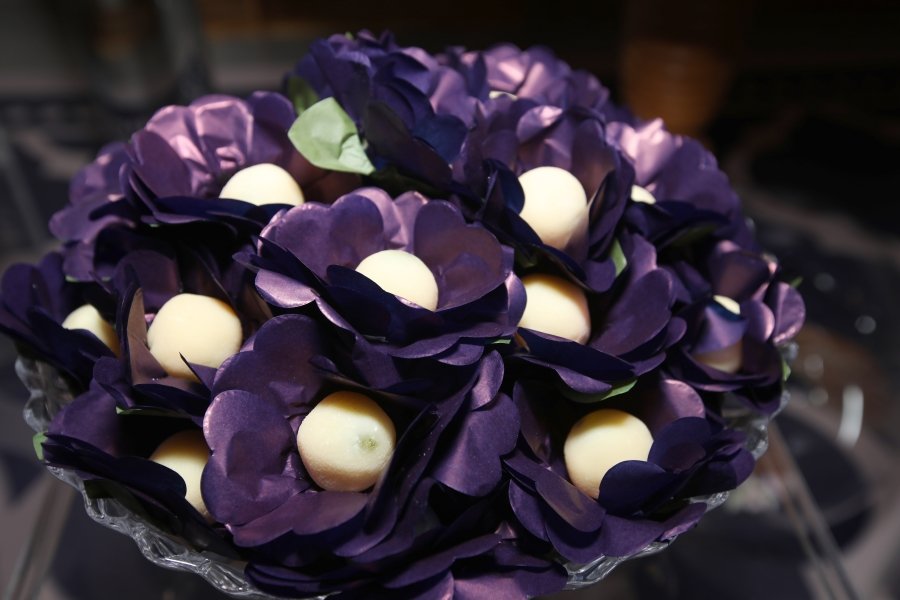 ANIVERSÁRIO DE LENA BERNARDO – ESTÂNCIA OURO BRANCO - Eloisa Mattos