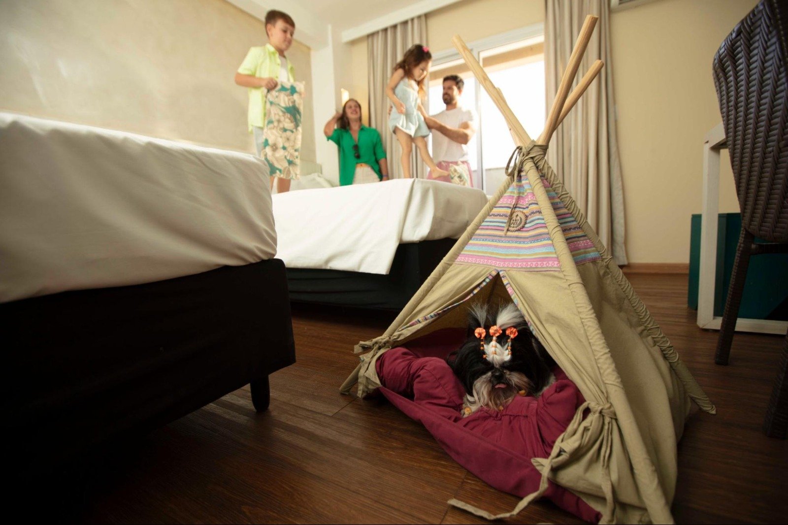 Hot Beach Parques & Resorts investe em turismo pet friendly para atender novo perfil do viajante brasileiro