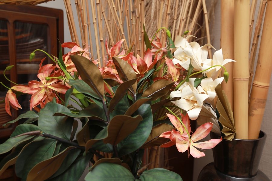 JANAÍNA CELEBRA 50 ANOS EM UMA NOITE INESQUECÍVEL – 11/04/2026 - Eloisa Mattos