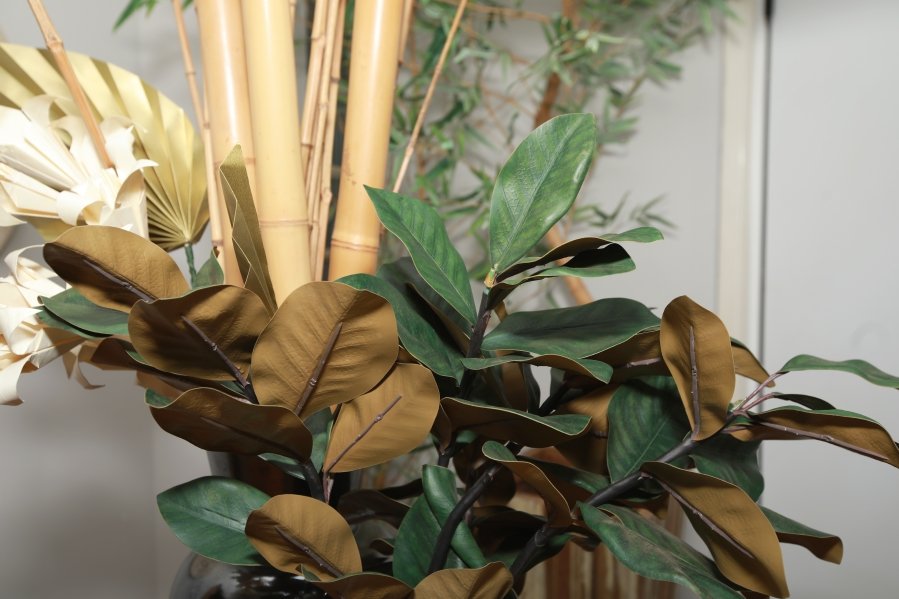 JANAÍNA CELEBRA 50 ANOS EM UMA NOITE INESQUECÍVEL – 11/04/2026 - Eloisa Mattos