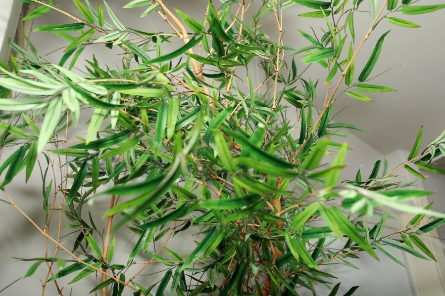 JANAÍNA CELEBRA 50 ANOS EM UMA NOITE INESQUECÍVEL – 11/04/2026 - Eloisa Mattos