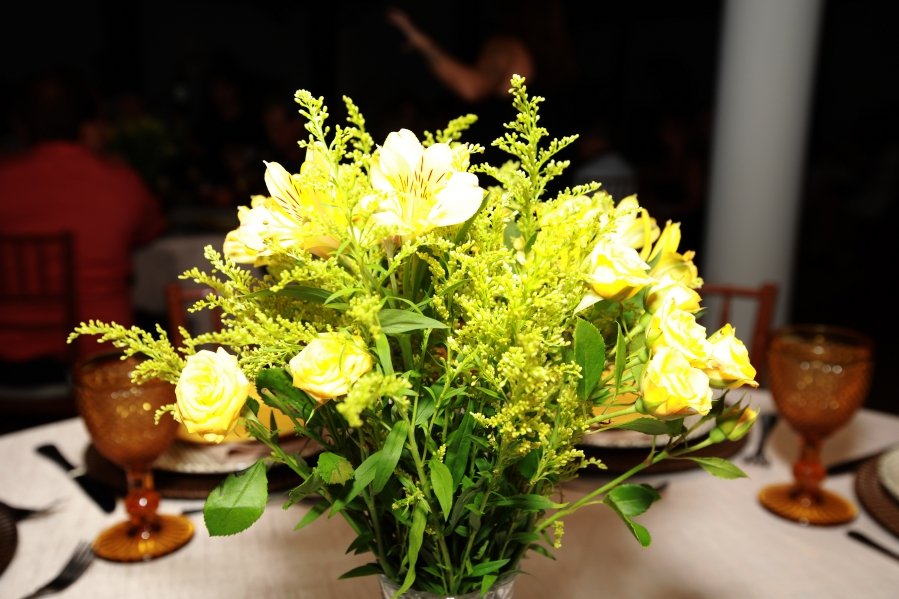 UMA NOITE ESPECIAL – ANIVERSÁRIO DE SUZANA VALENTE - Eloisa Mattos