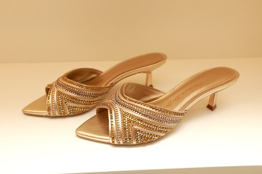 Ana Rocha reúne clientes em elegante coquetel na Carmen Steffens do Riopreto Shopping - Eloisa Mattos