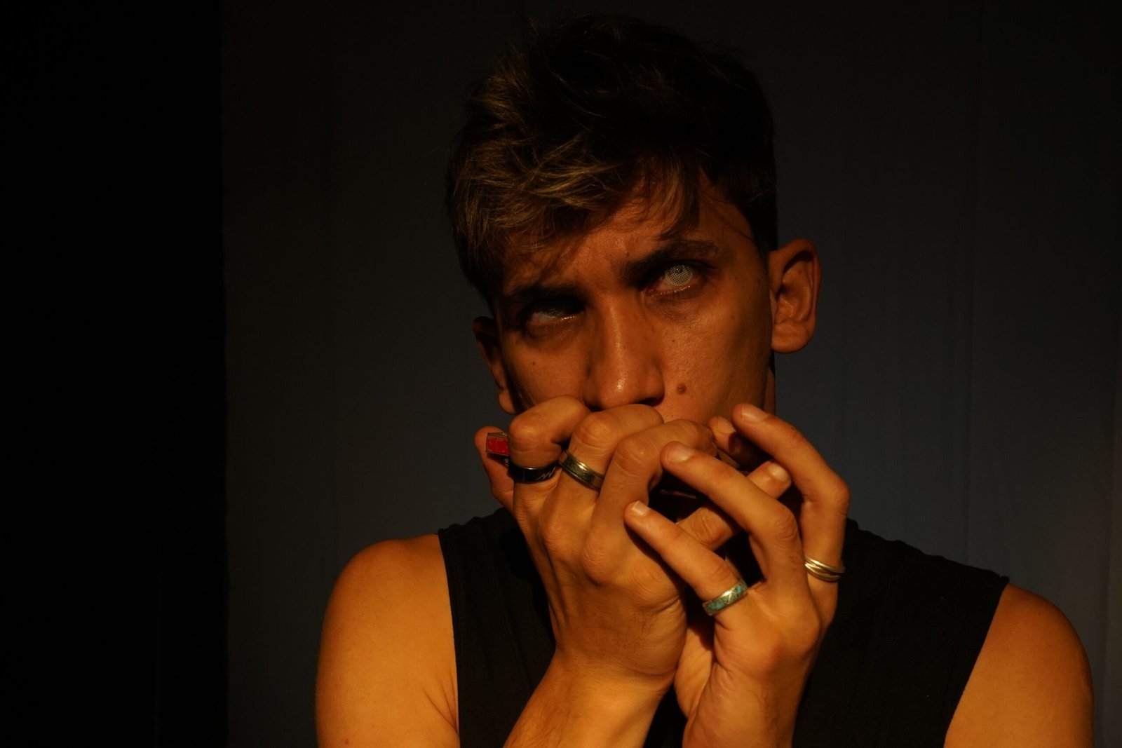 Teatro do mundo em Rio Preto: produções internacionais chegam ao FIT 2026 com apresentações gratuitas