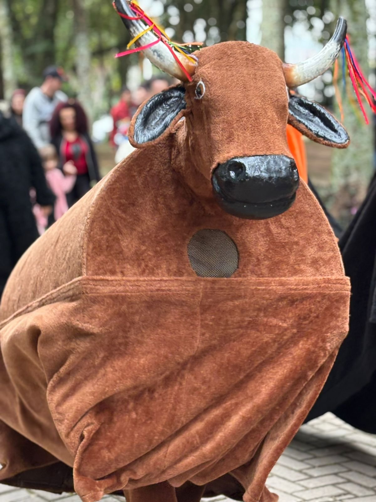 O Sul se apresenta no 62º Festival do Folclore de Olímpia com fandango, boi de mamão e tradição gaúcha