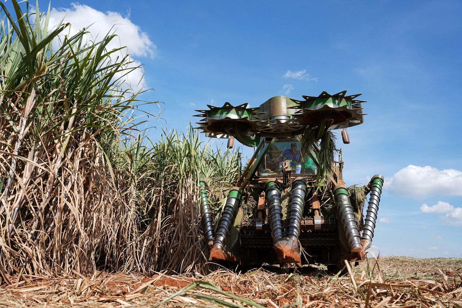 Tereos amplia frota de colhedoras de duas linhas e avança em eficiência energética no campo